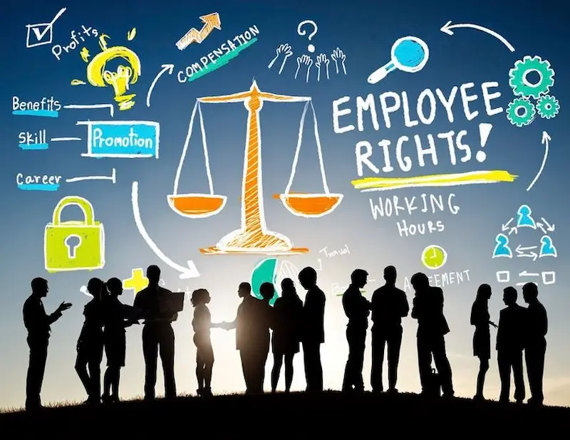 employment and labor rights